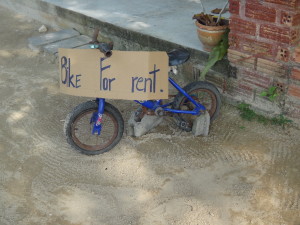 Bike for Rent