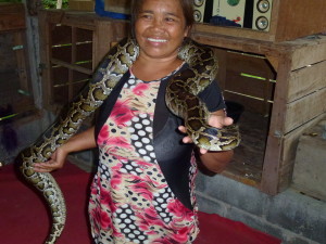 Schlangen in Thailand