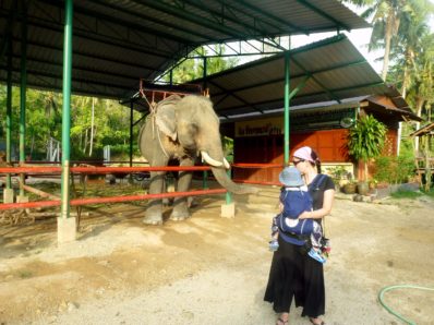 Kian und die Elefanten